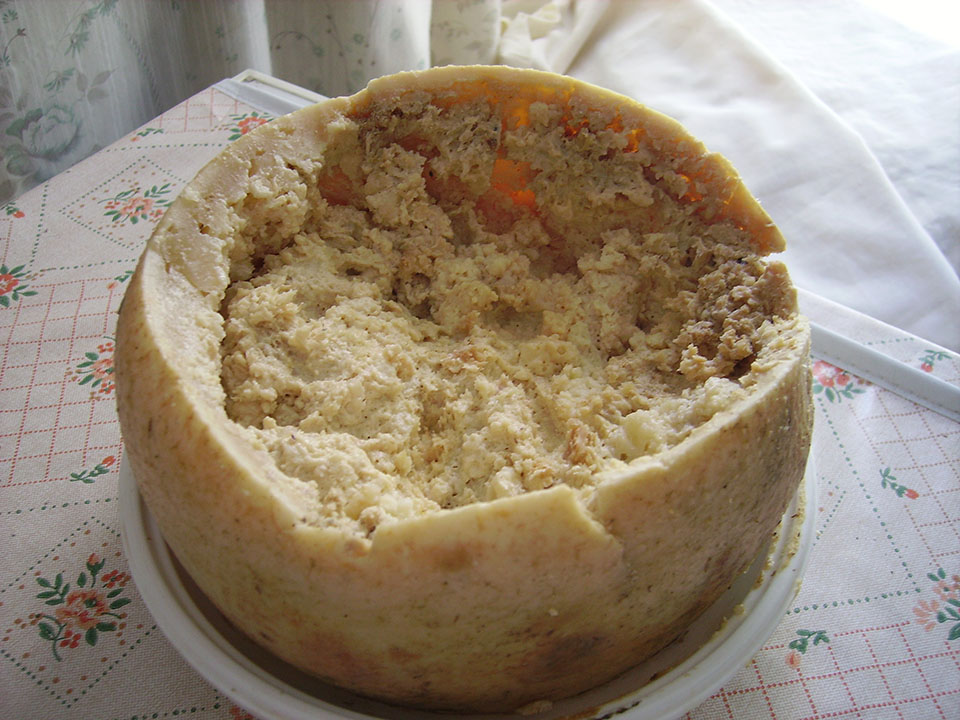 Weirdest Foods: Casu Marzu Cheese